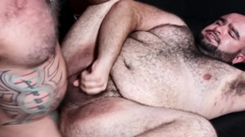 BearBack.com - European The Rhino is really hairy bear