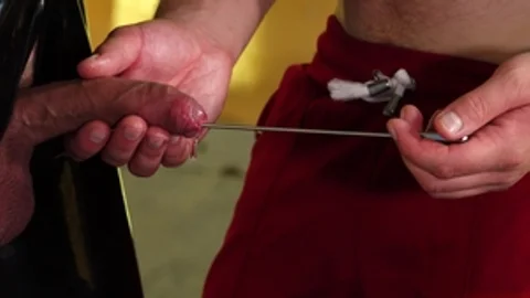 Inescapable Harness of Desire