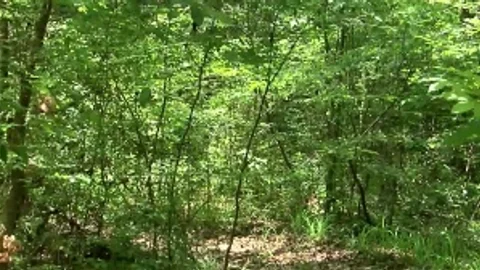 Habit Trail - Bryce Star, Jimmy Johnson anal Love