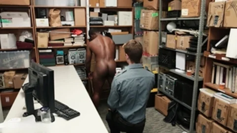 Young Perps: Back Office Brawls and Black Beauty's Bonds