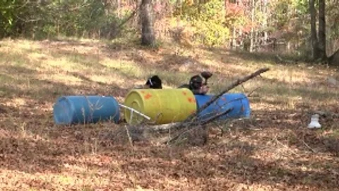 Paintball - Love